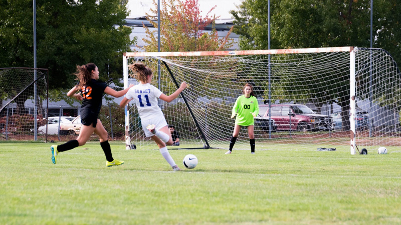 What is a Friendly Soccer Match?